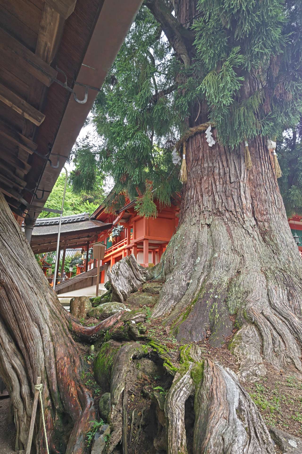 御上さんのプロフィール画像