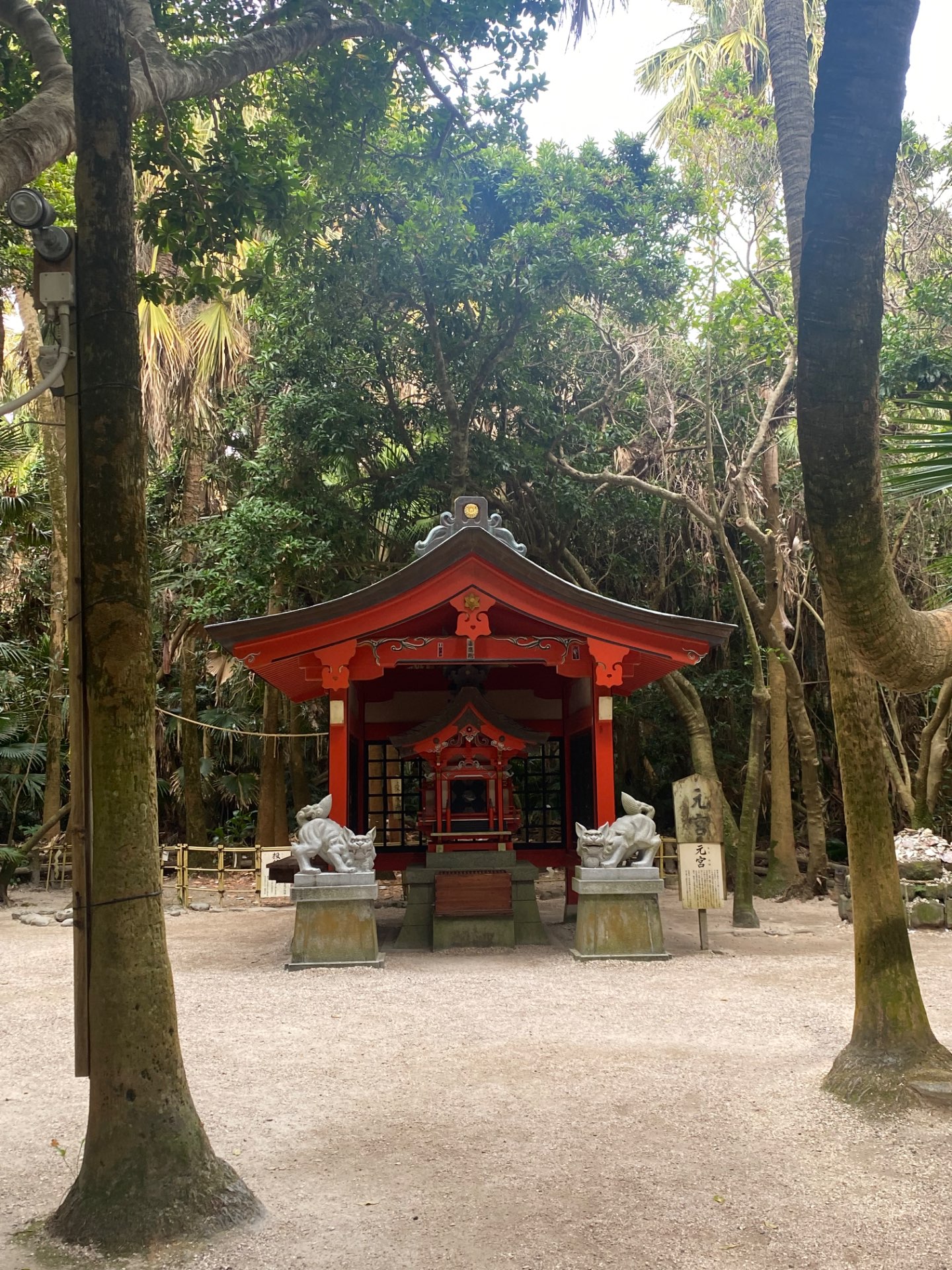 かよさんのプロフィール画像