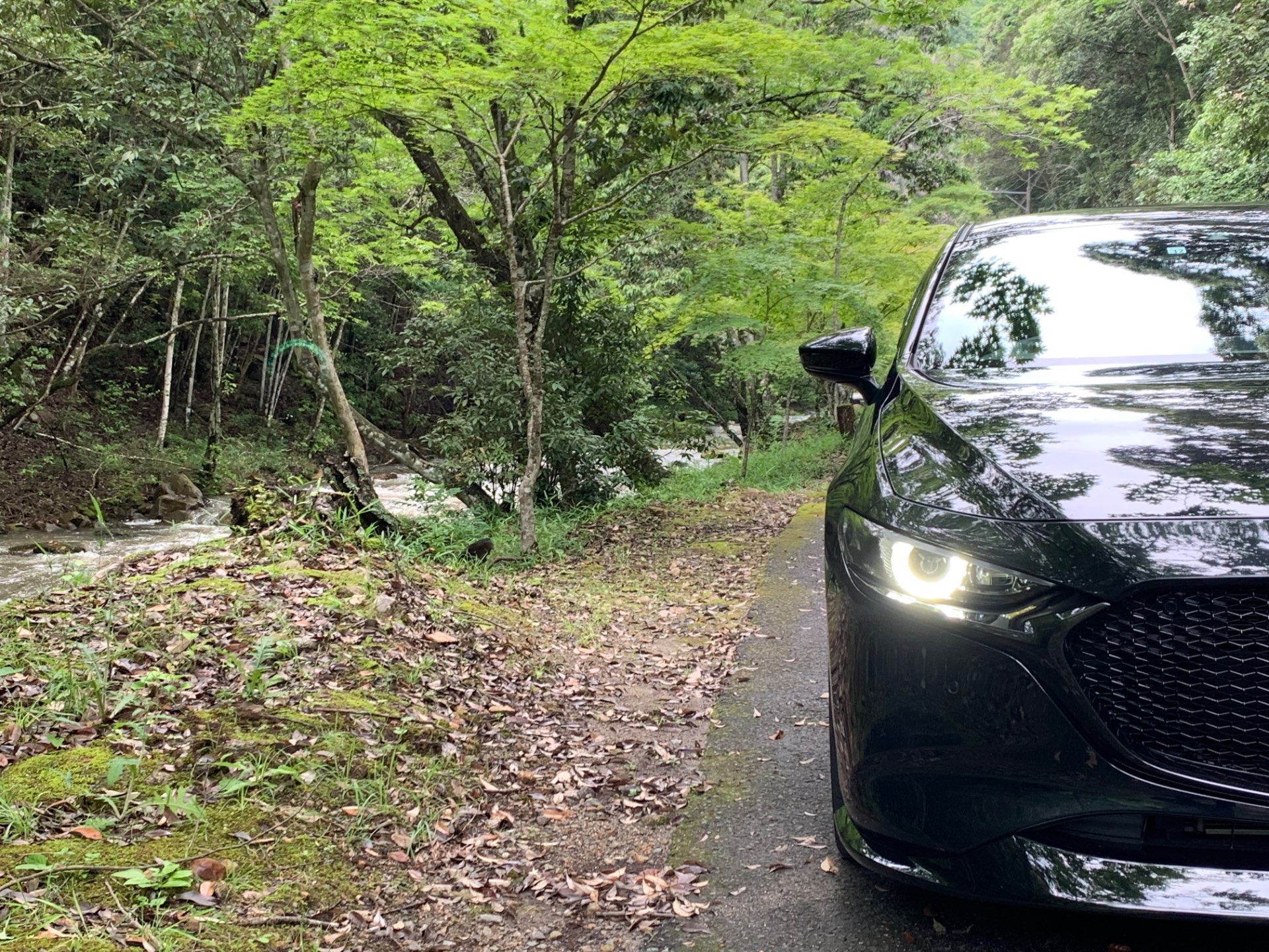 なんさんのプロフィール画像