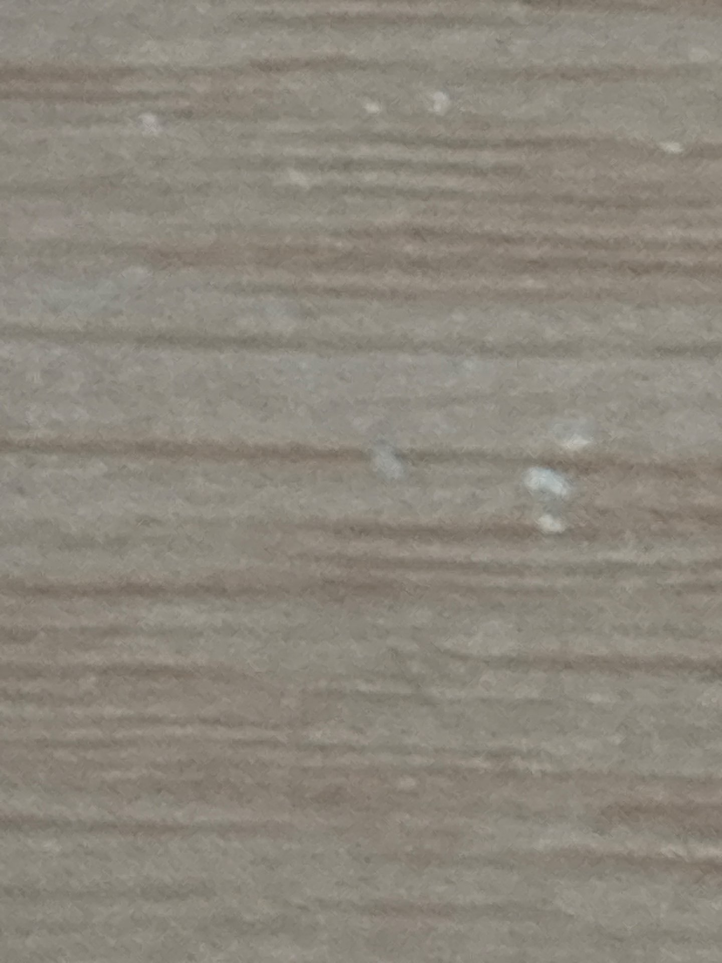 金魚さんのプロフィール画像