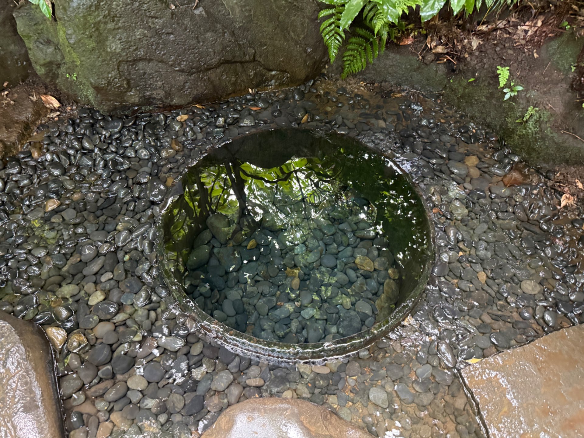 タイソンさんのプロフィール画像