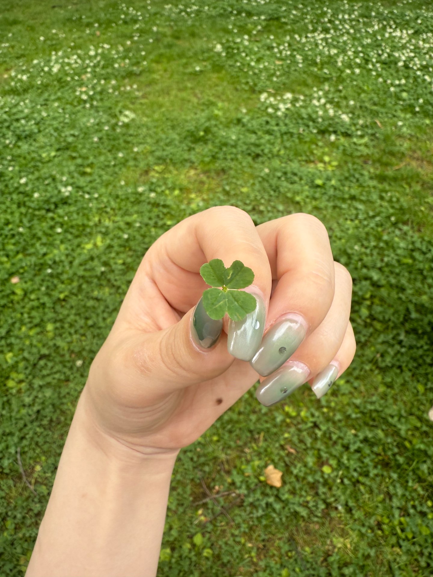 morikoさんのプロフィール画像