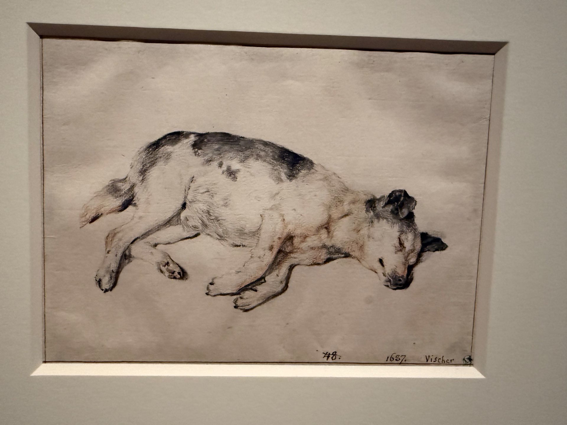 YOHCさんのプロフィール画像