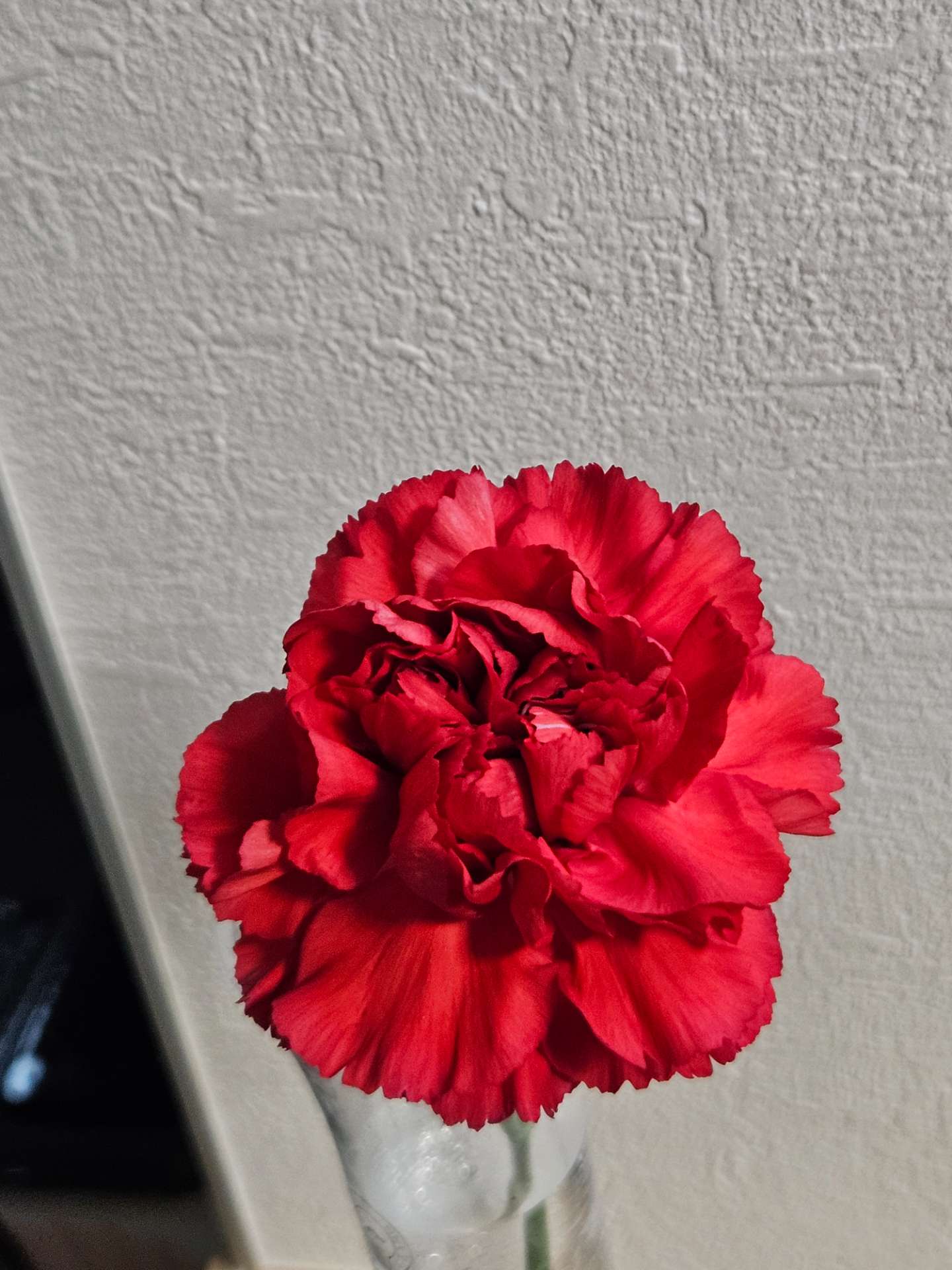 なべさんのプロフィール画像