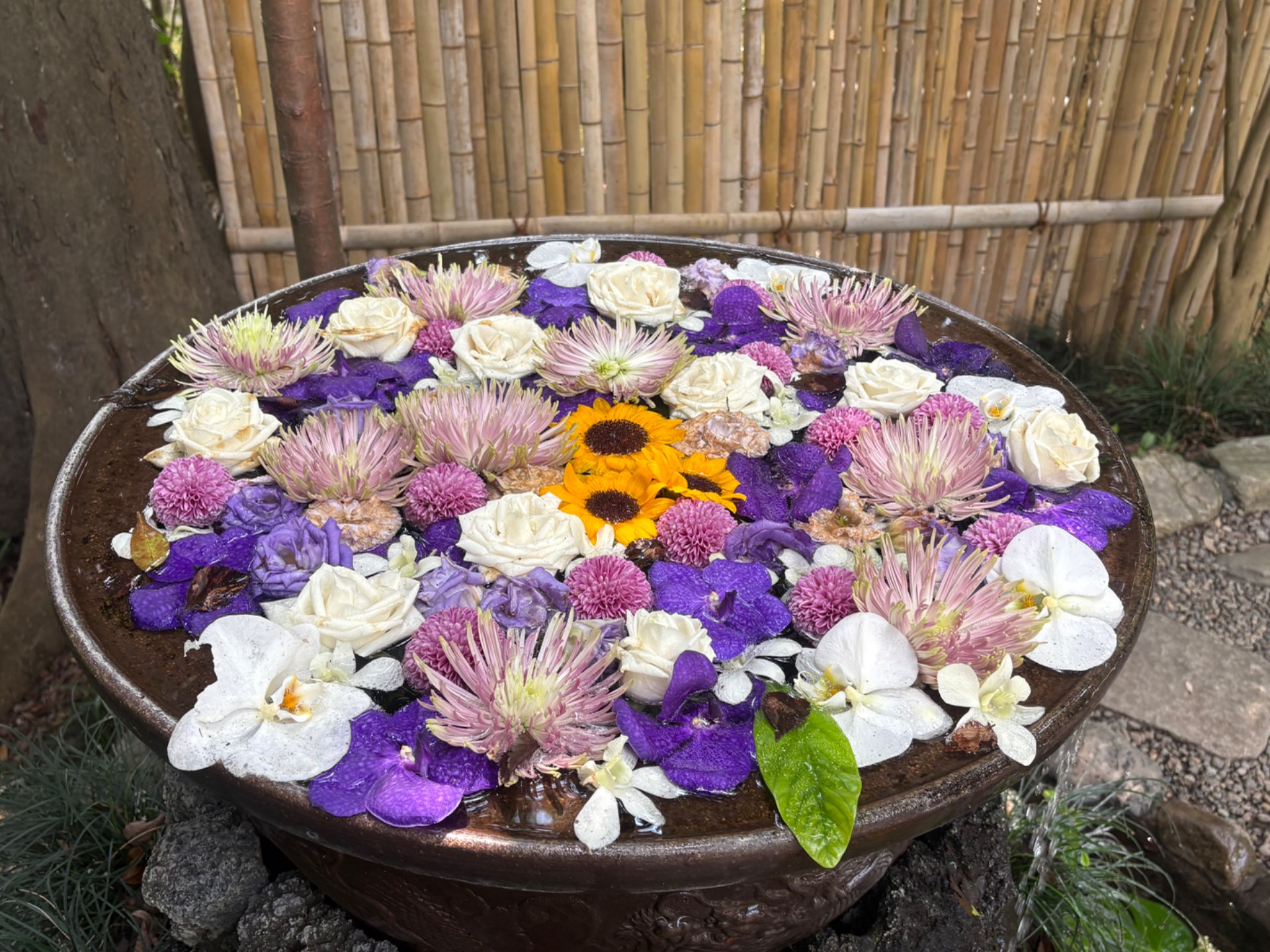 MICCOさんのプロフィール画像