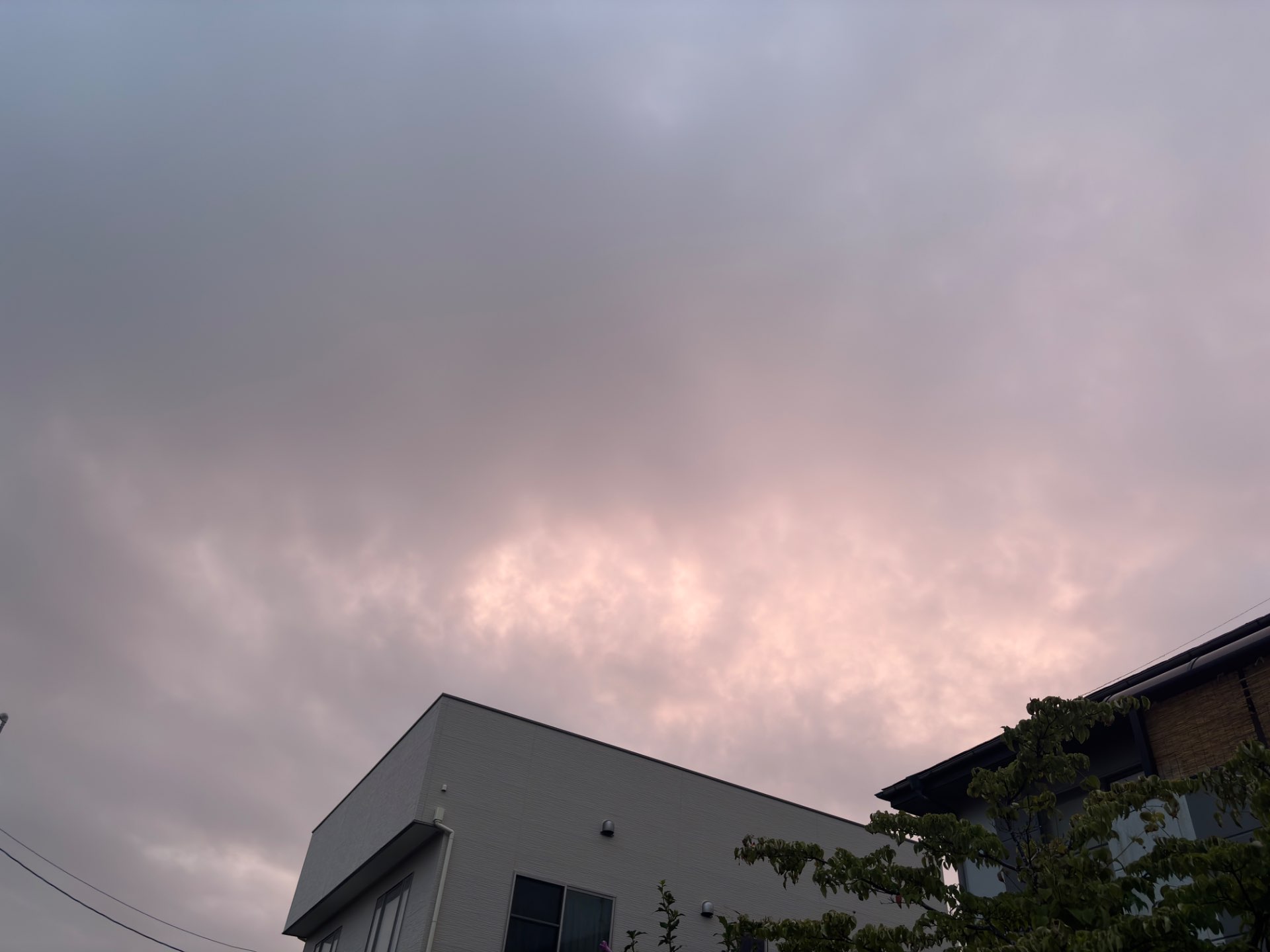 ららさんのプロフィール画像