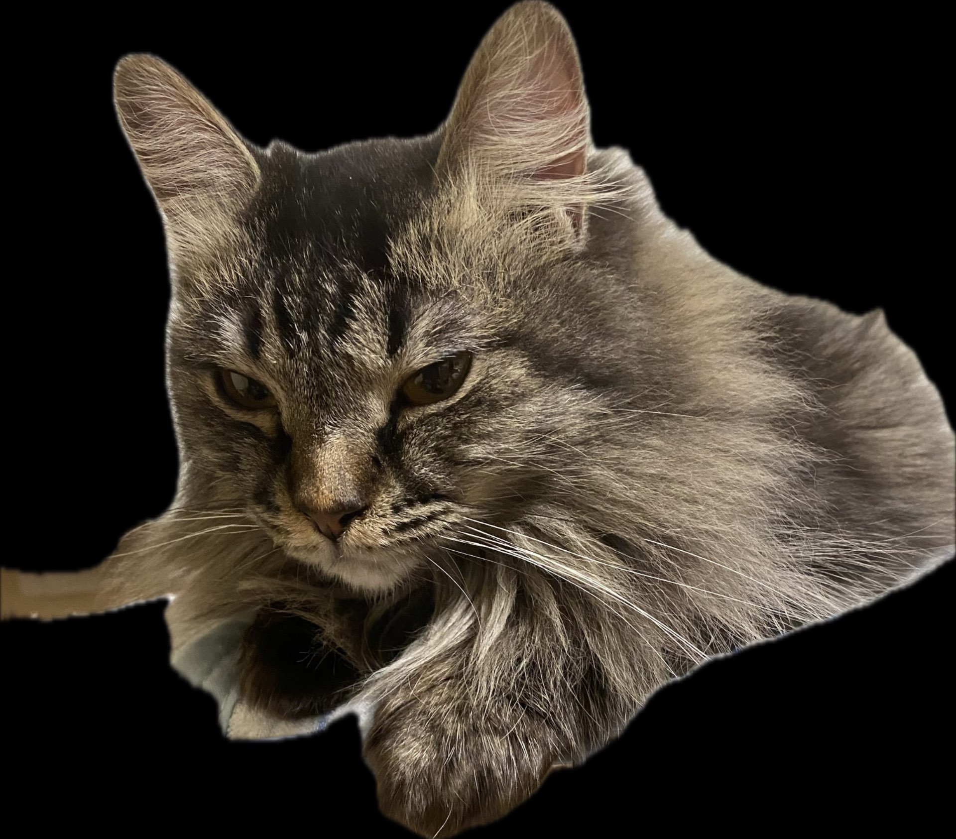 hukushuriさんのプロフィール画像