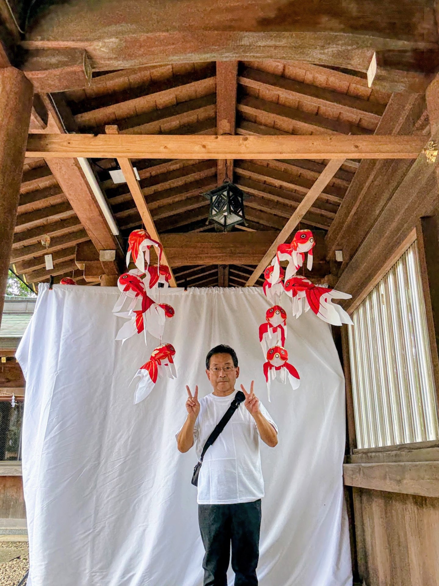 ナベちゃんさんのプロフィール画像