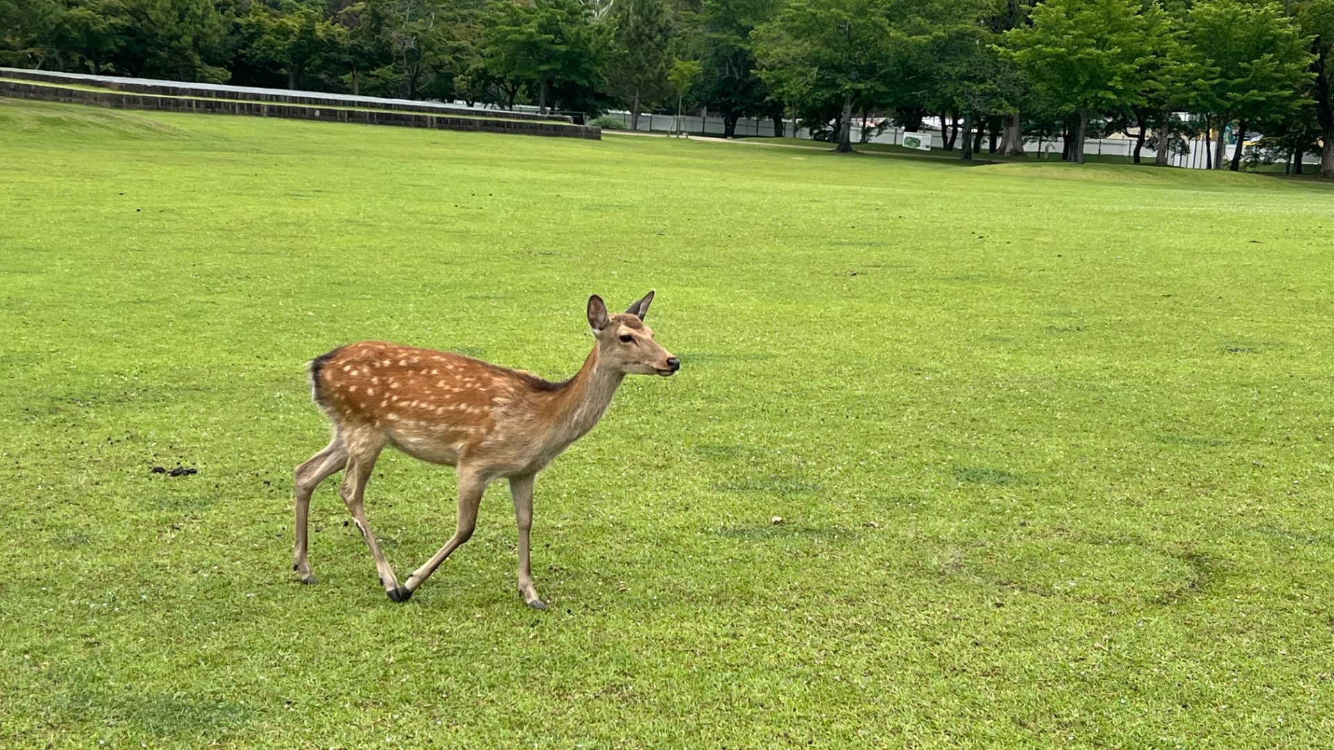 たこさんいかさんさんのプロフィール画像