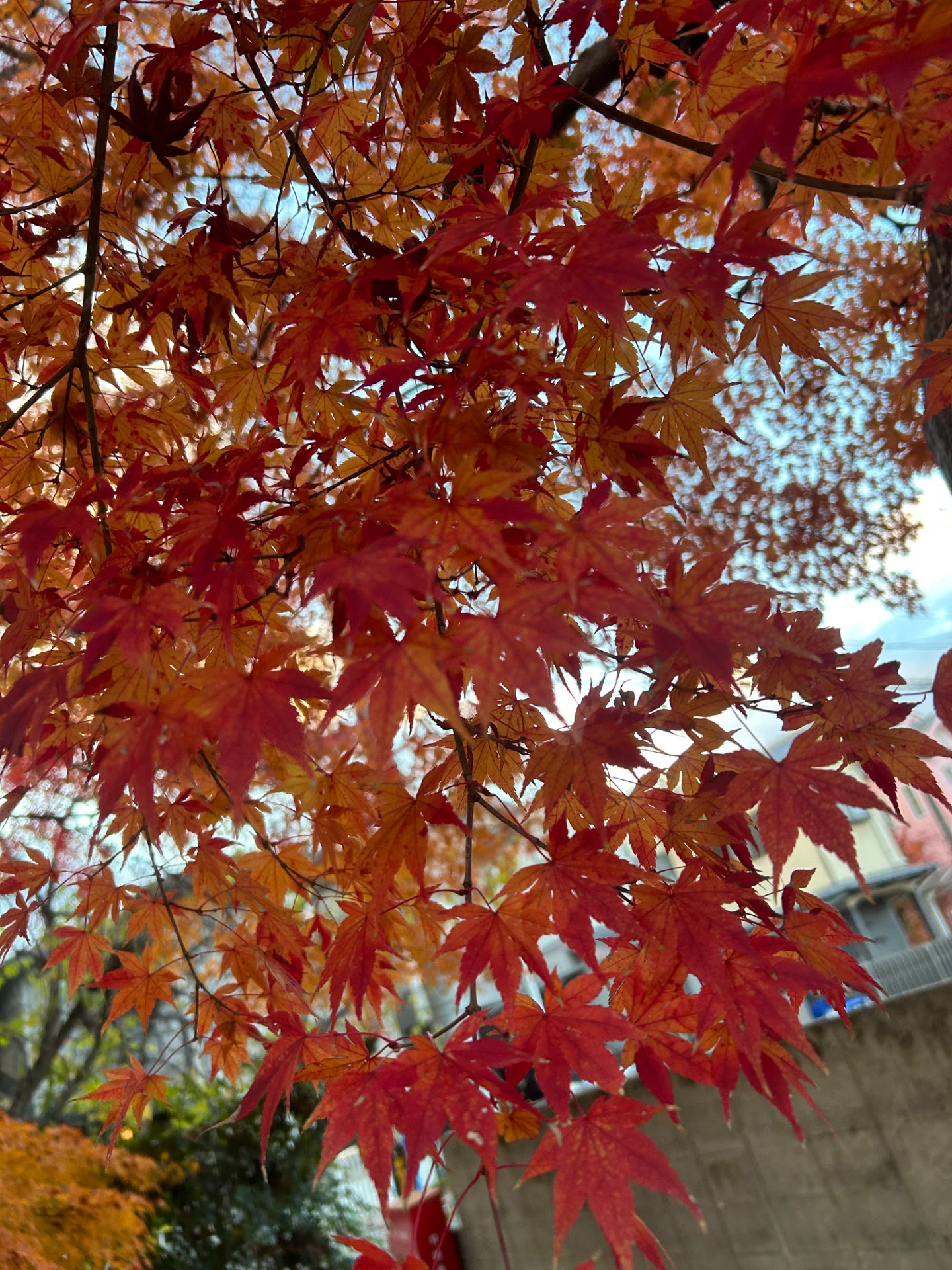 シンさんのプロフィール画像