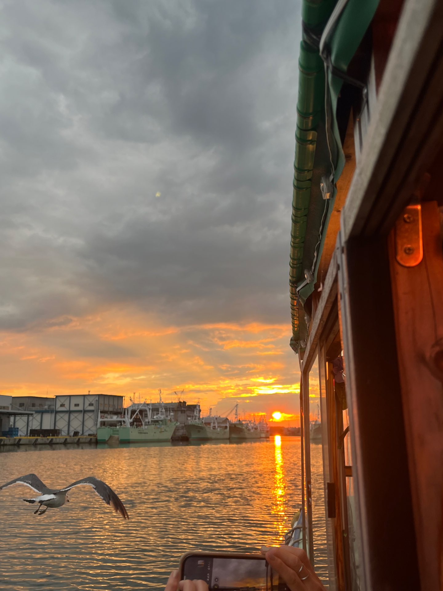 まりさんのプロフィール画像