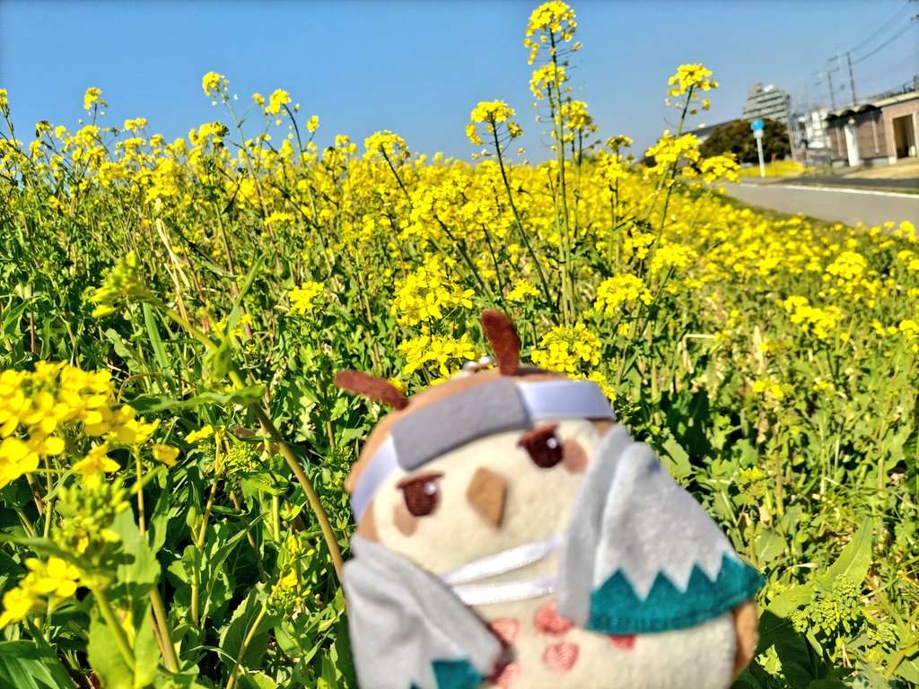 響 蘭丸さんのプロフィール画像