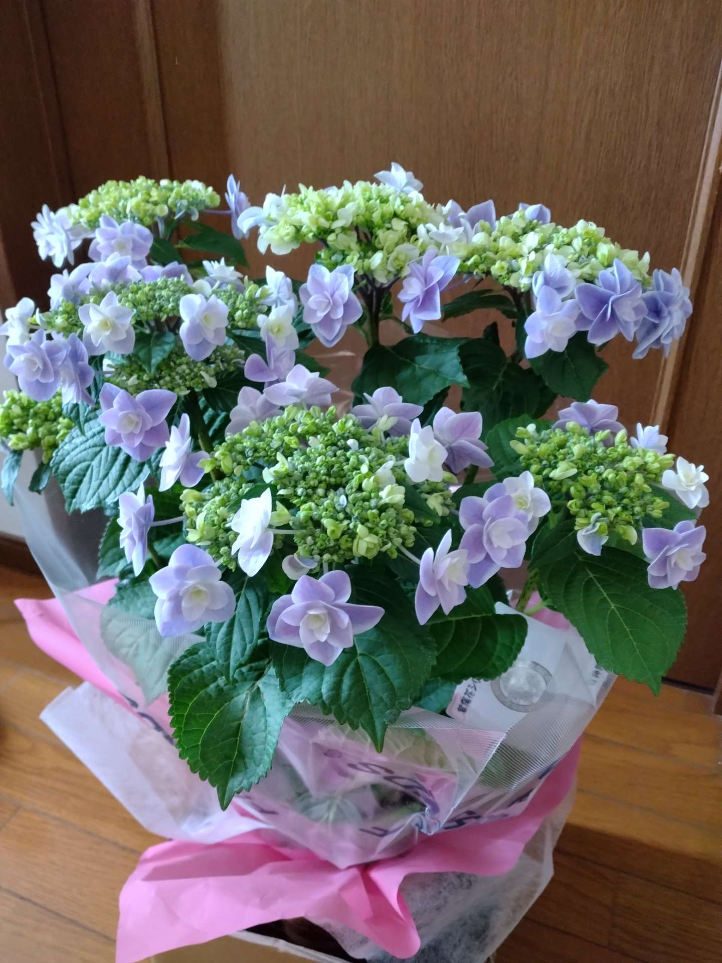 kei0105さんのプロフィール画像