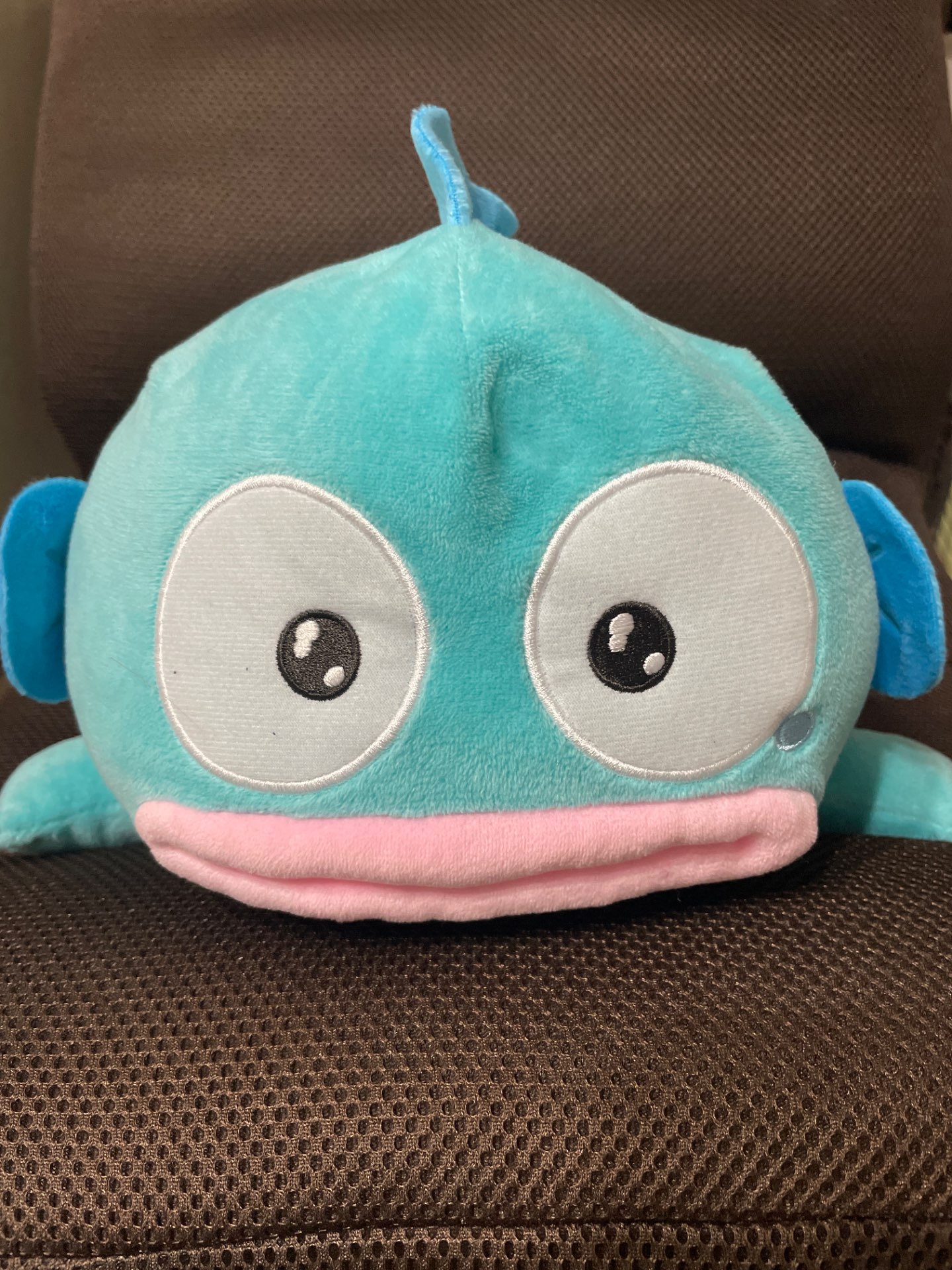 たっちんさんのプロフィール画像