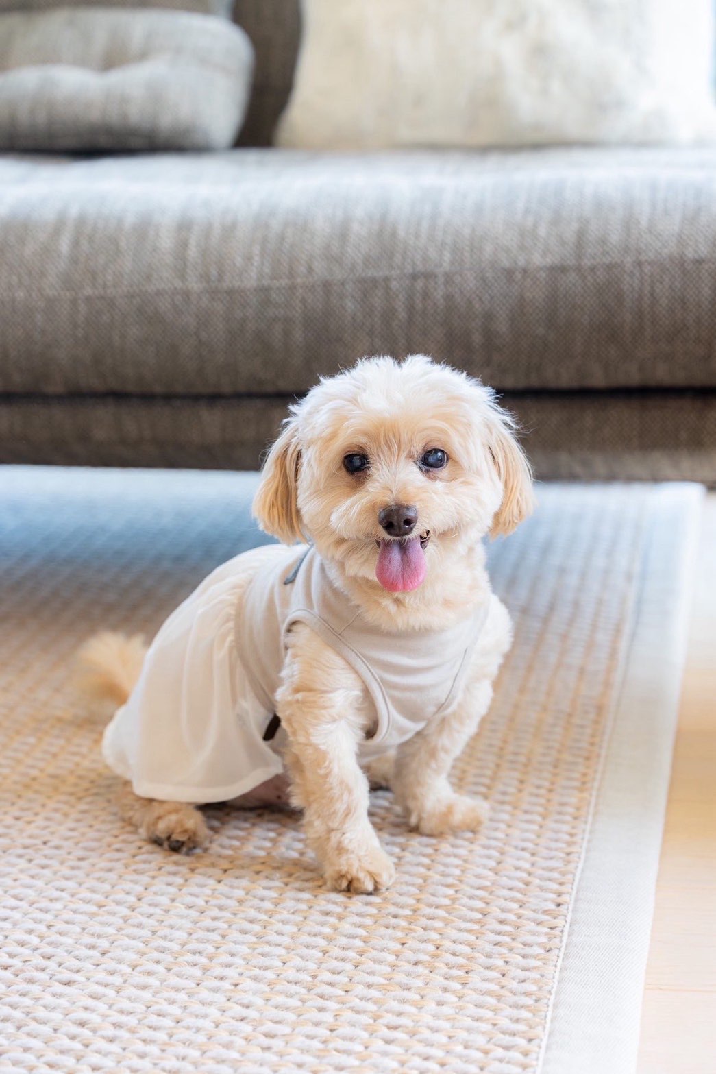 まちぇこさんのプロフィール画像