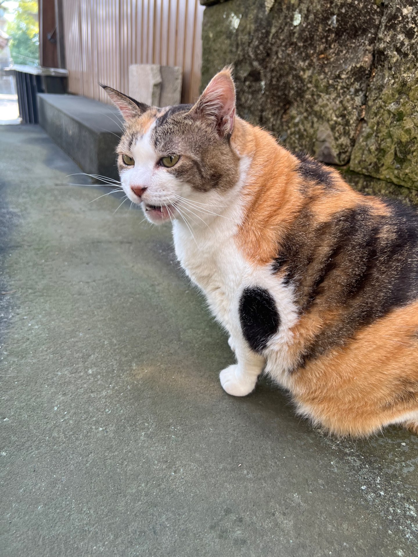 miki8981さんのプロフィール画像