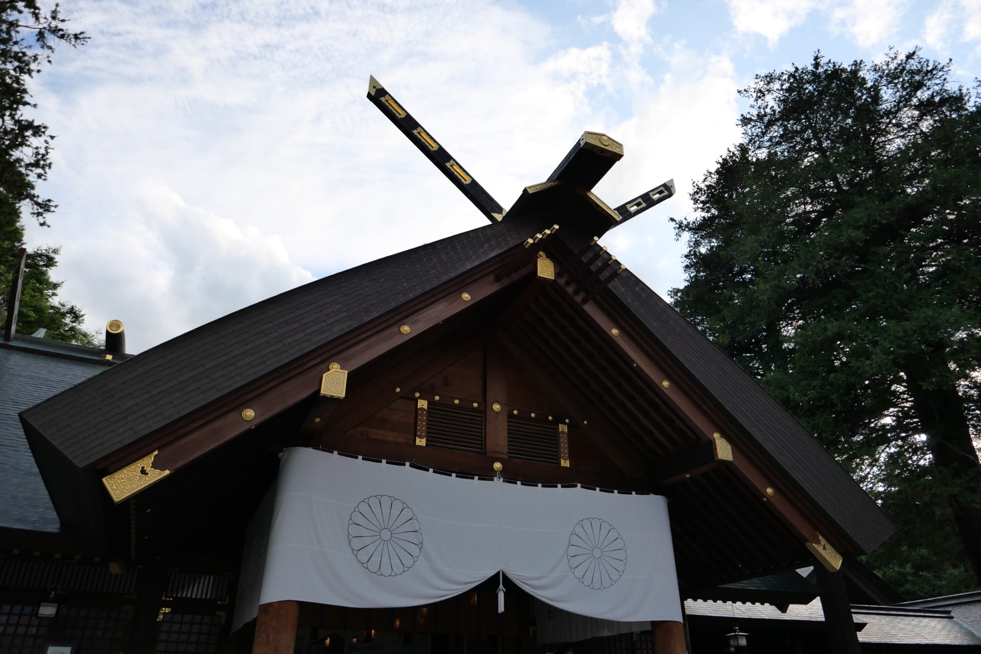 ryuさんのプロフィール画像