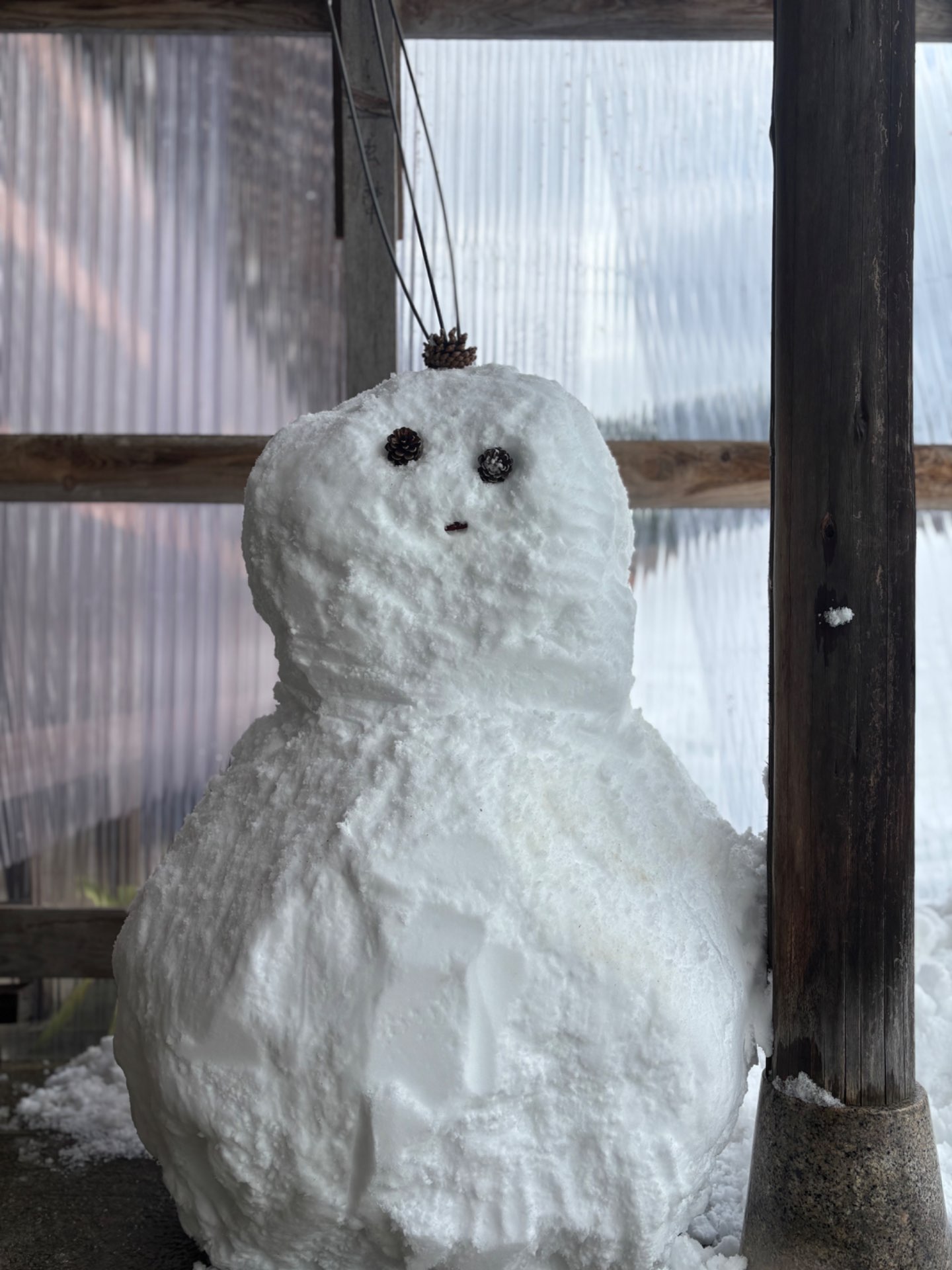 鯛さんのプロフィール画像