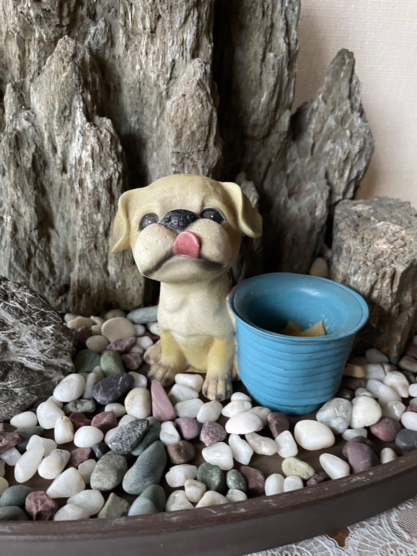 と〜るさんのプロフィール画像