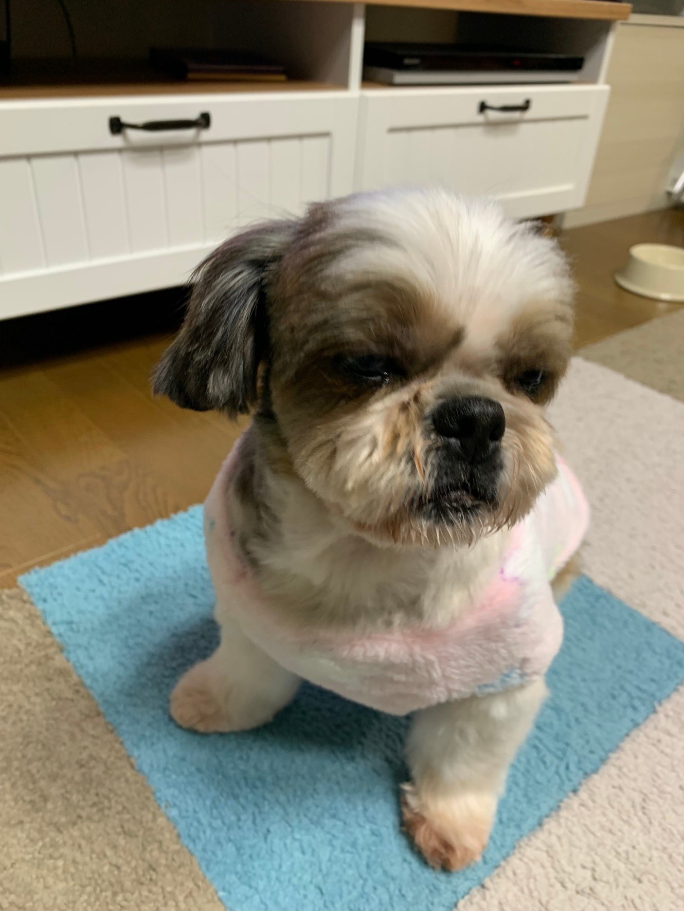 korokuさんのプロフィール画像