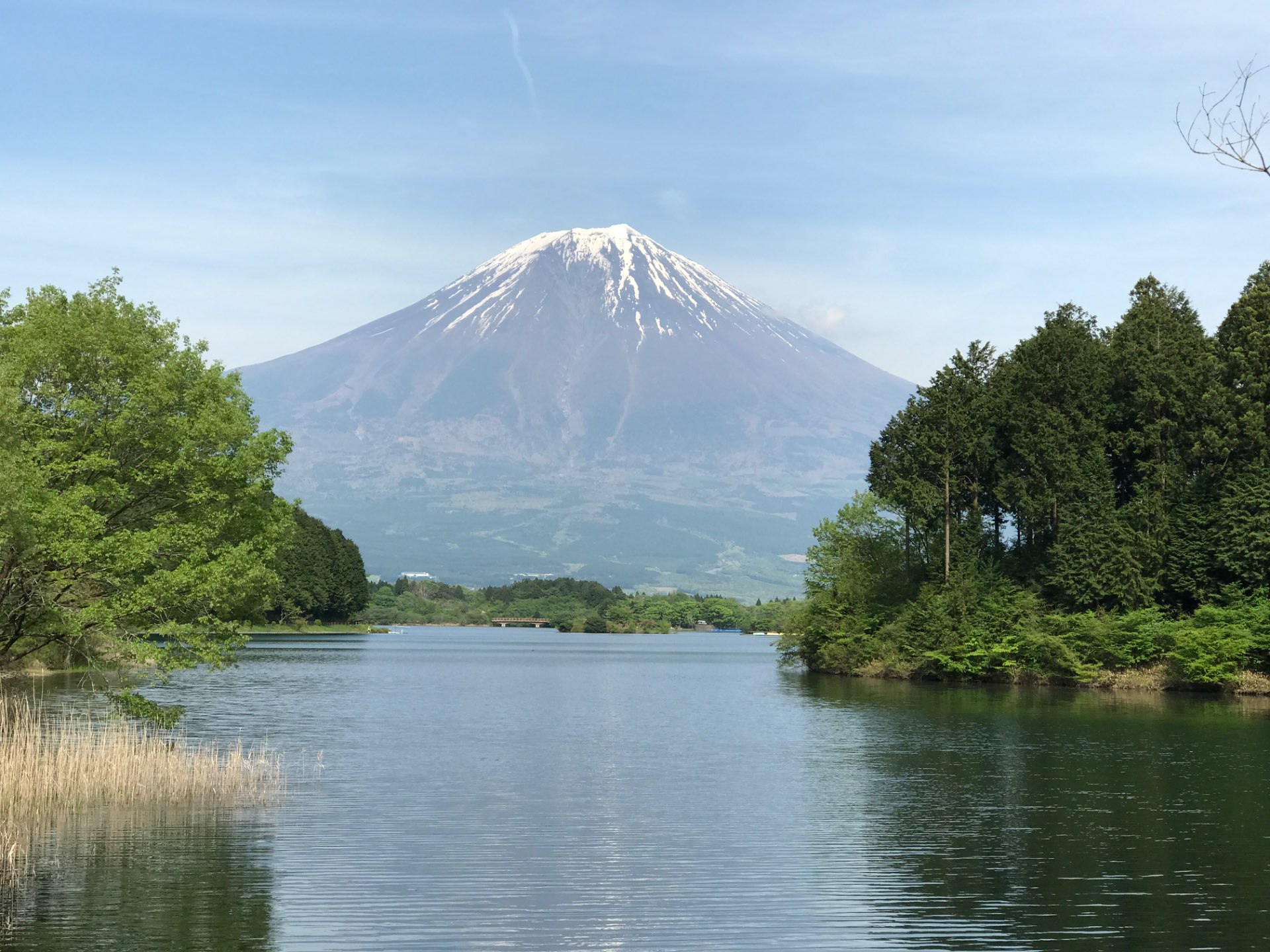 えぴたふさんのプロフィール画像