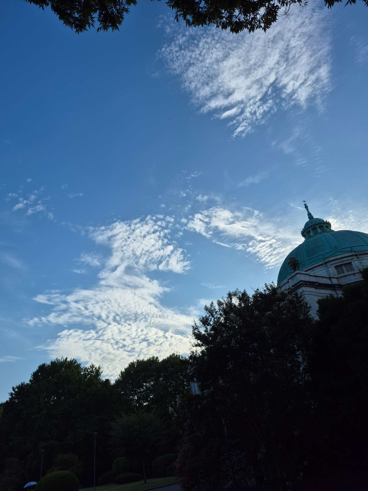 Yellowさんのプロフィール画像