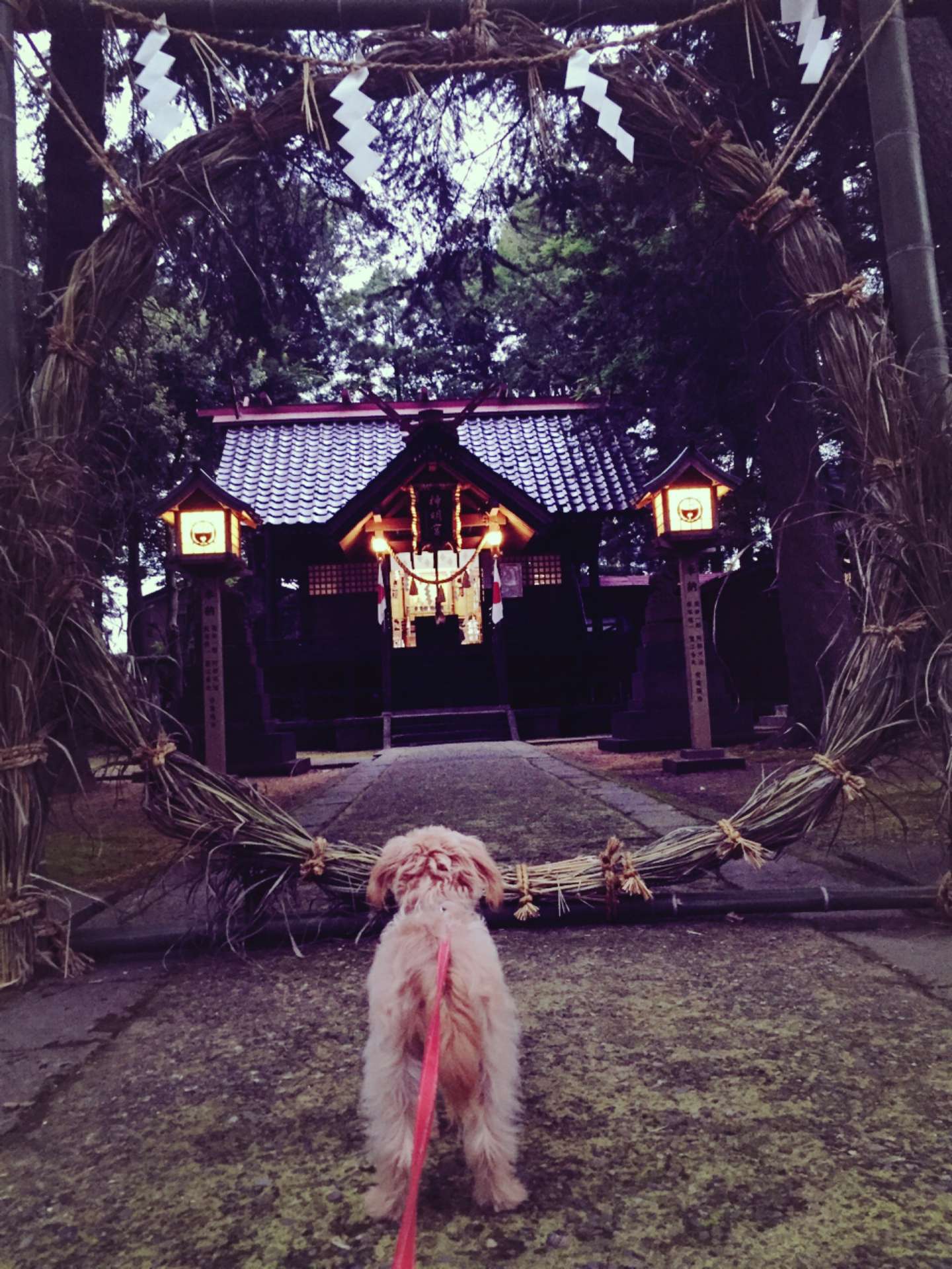 たかひろさんのプロフィール画像