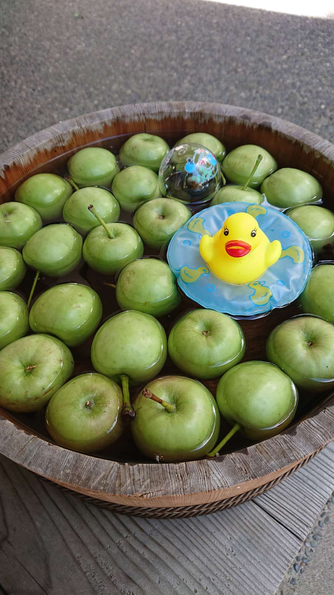 まちこさんのプロフィール画像