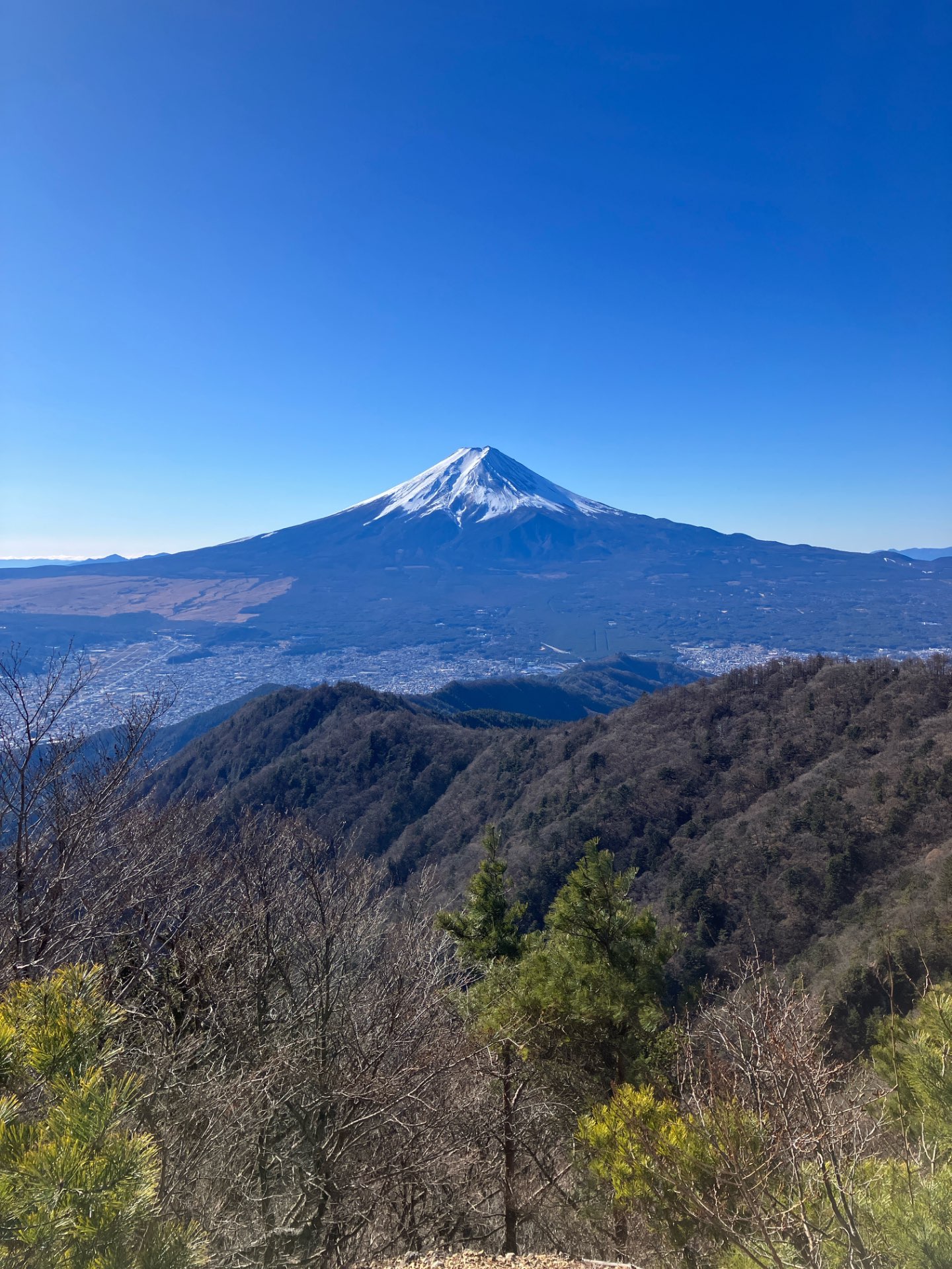 maruさんのプロフィール画像