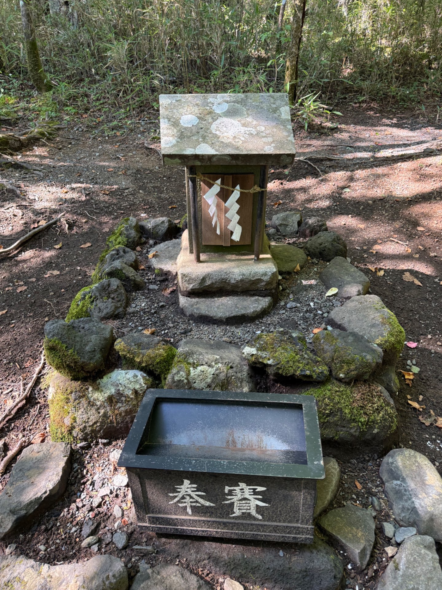 マンチェスさんのプロフィール画像