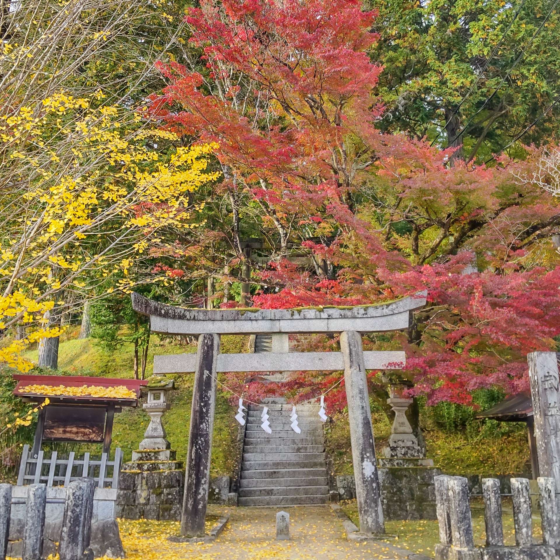 武並神社さんのプロフィール画像