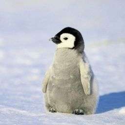 Natsumiさんのプロフィール画像