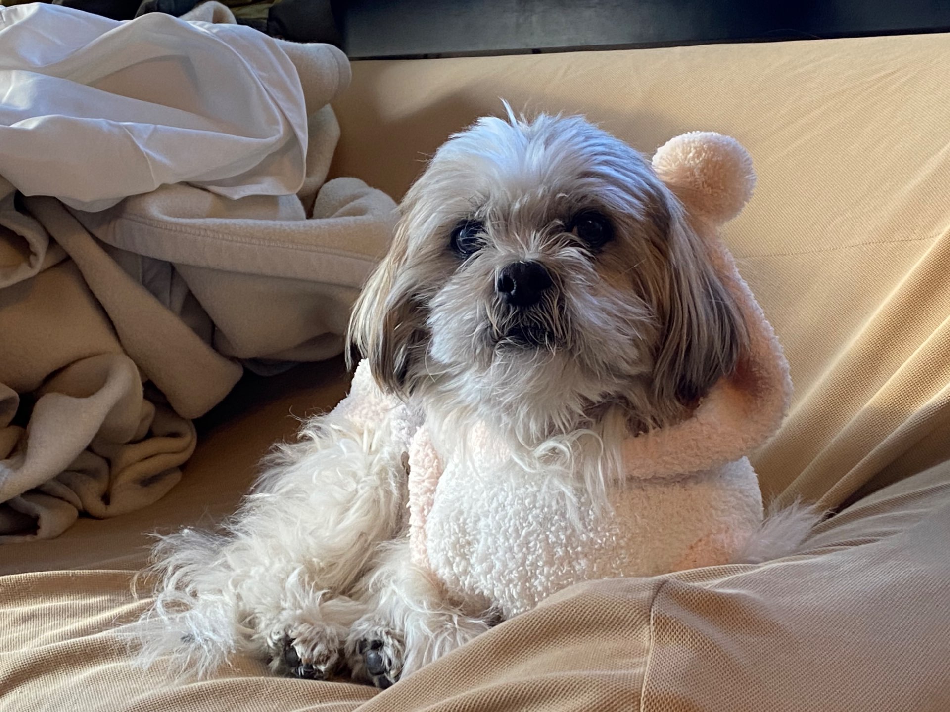 Cocoさんのプロフィール画像