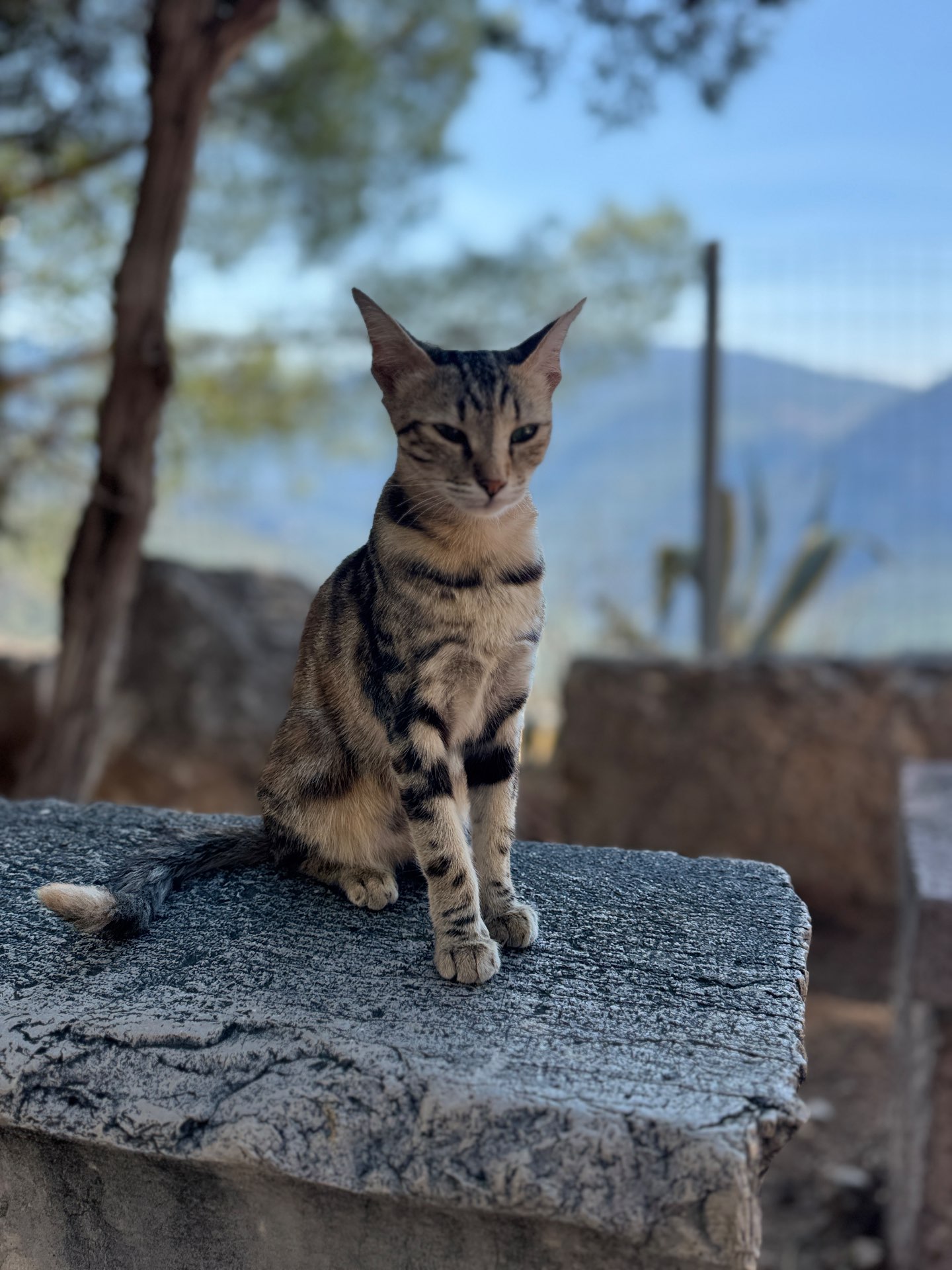 ろいろいさんのプロフィール画像