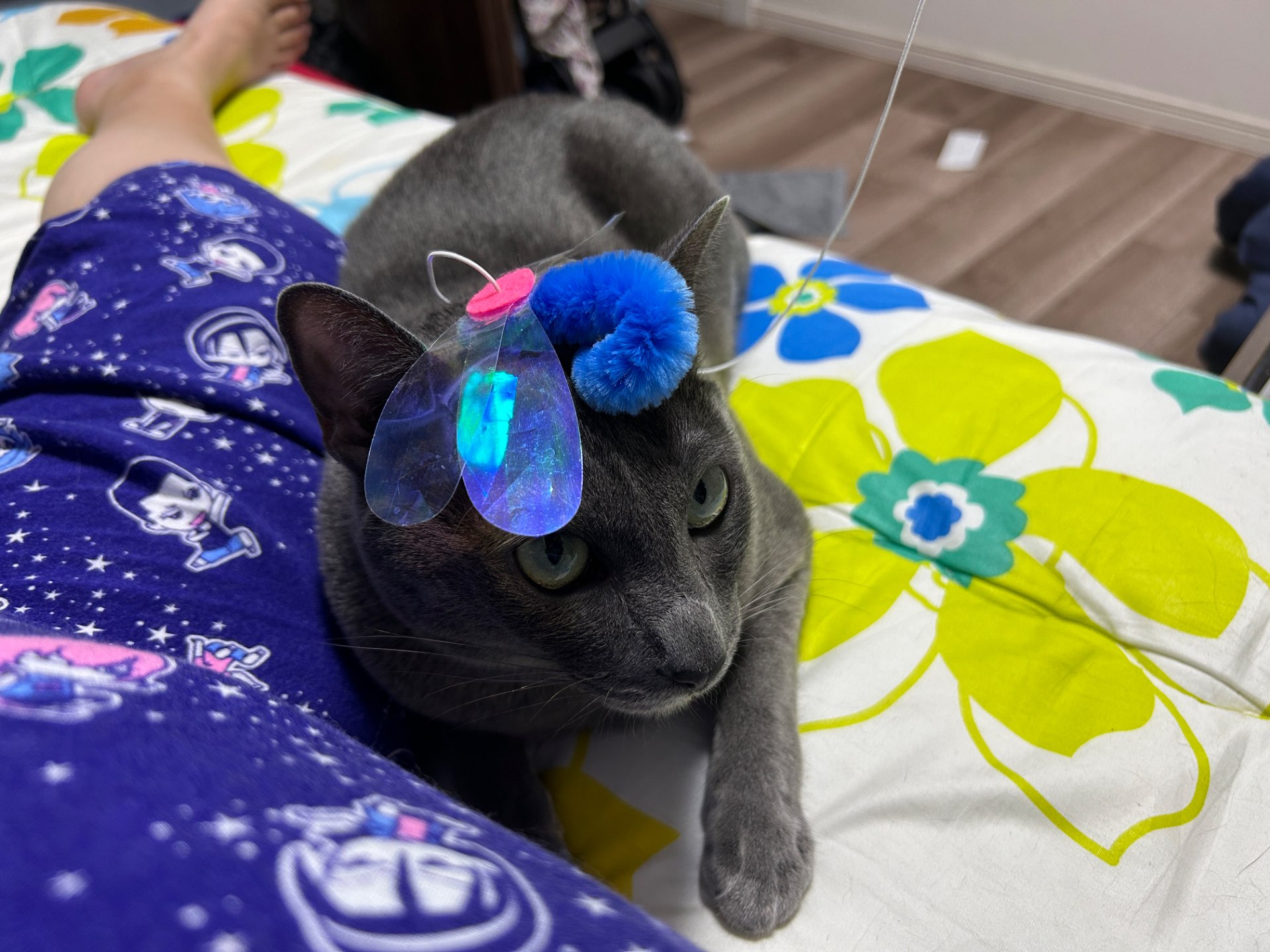 満日さんのプロフィール画像