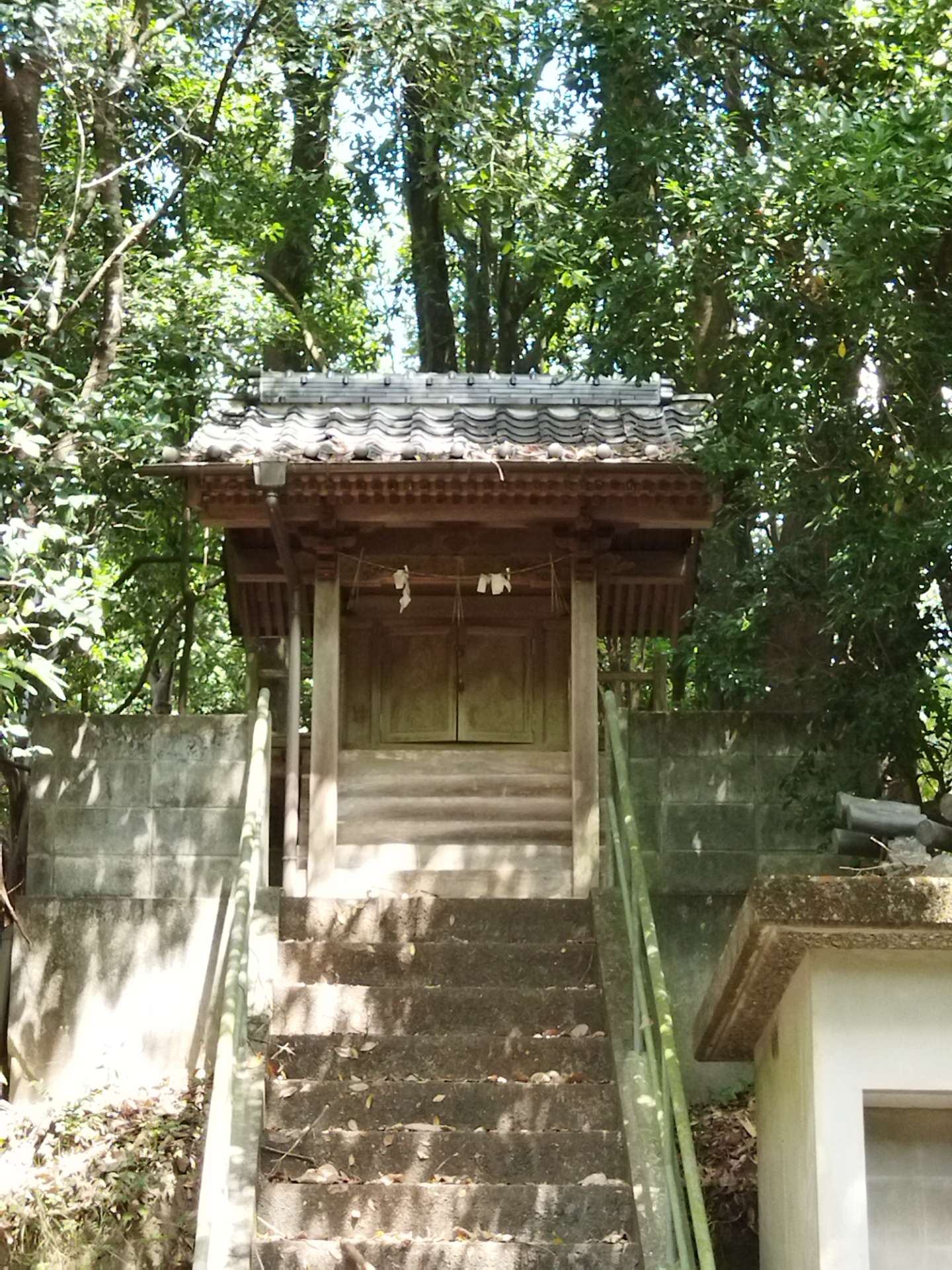 くくみさんのプロフィール画像