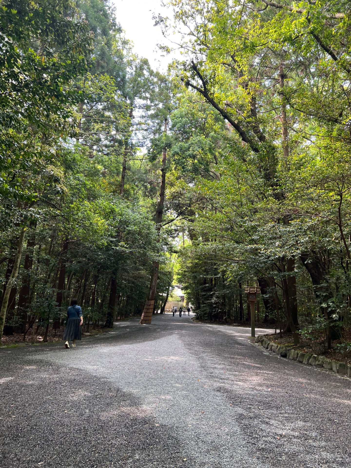 あいさんのプロフィール画像