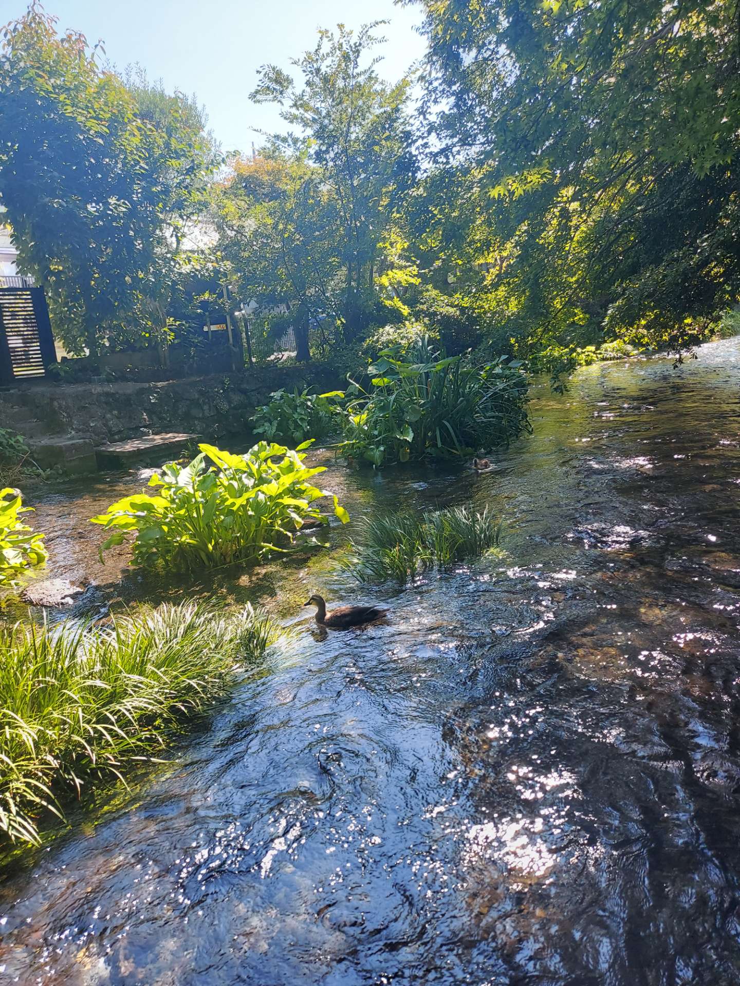 けるさんのプロフィール画像