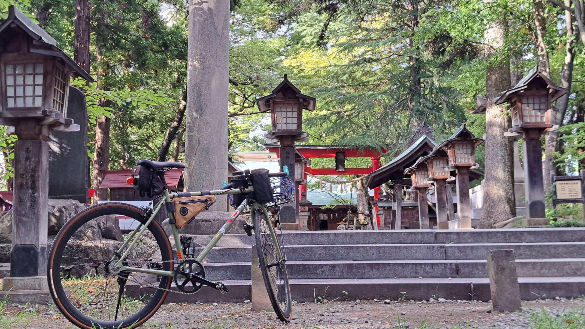 金しまっさんのプロフィール画像