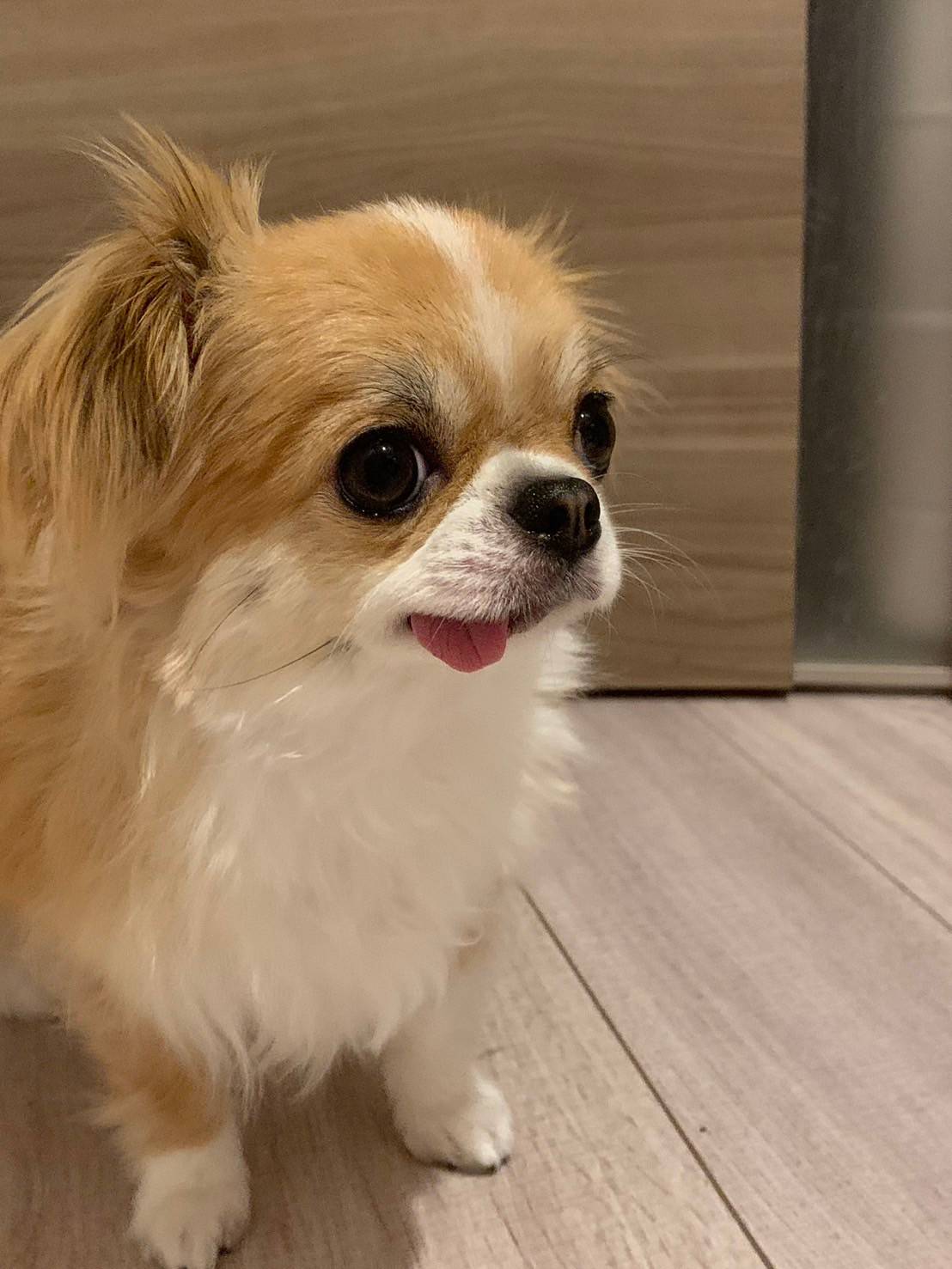 泉さんのプロフィール画像