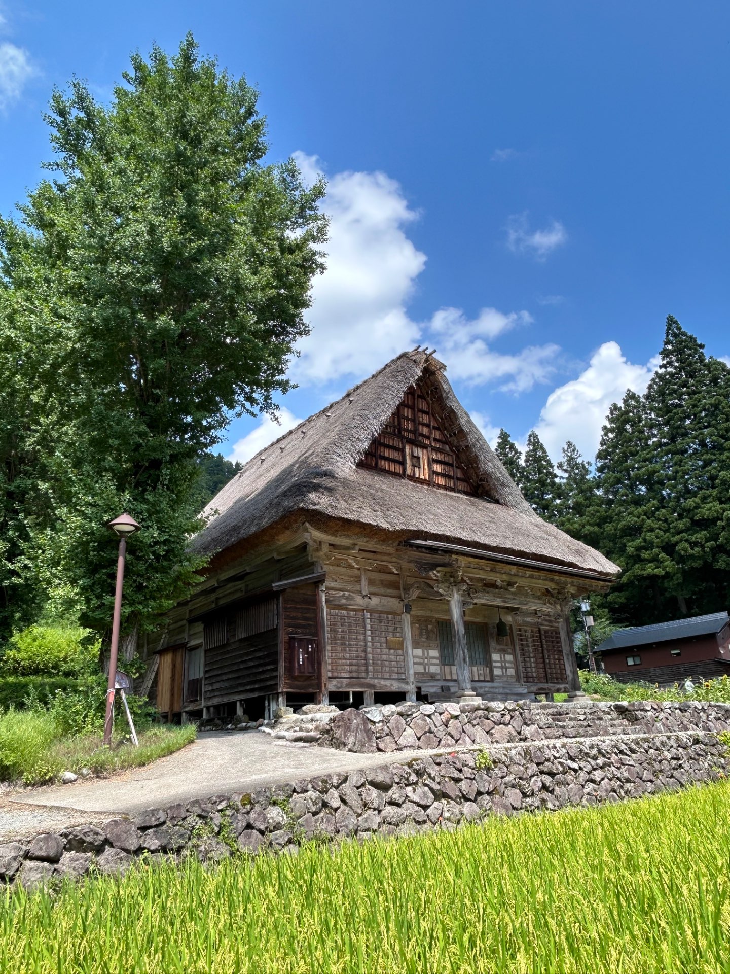 ホリ3さんのプロフィール画像