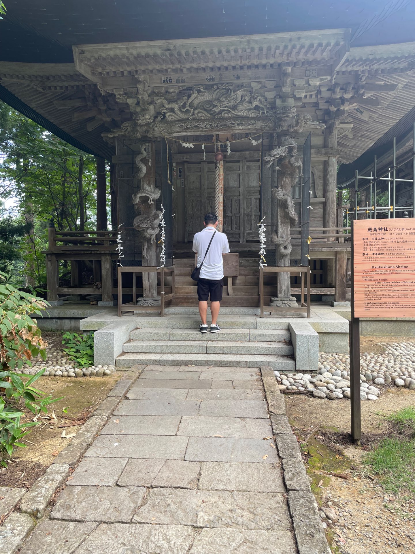 風来坊さんのプロフィール画像