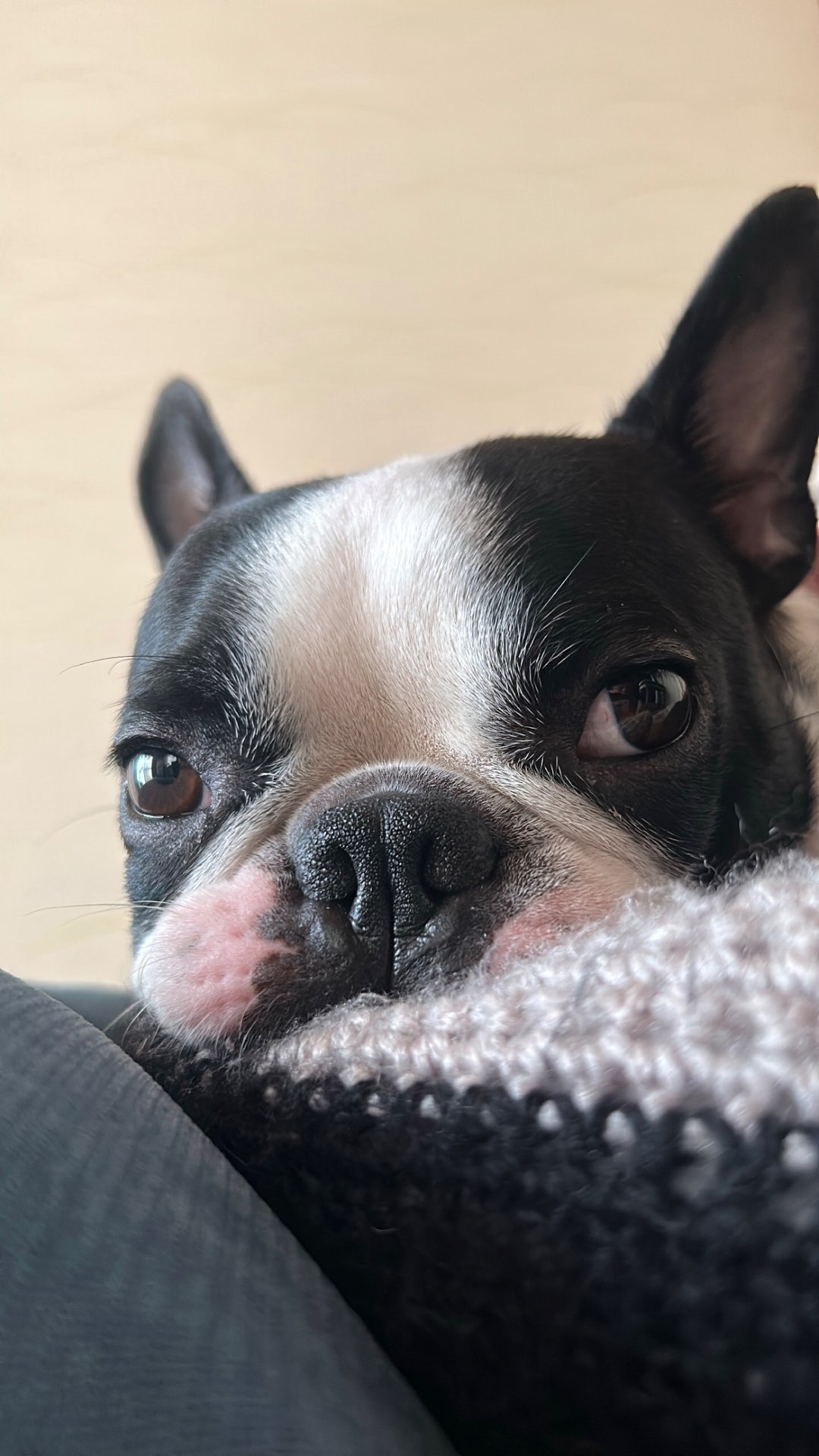 りさんさんのプロフィール画像