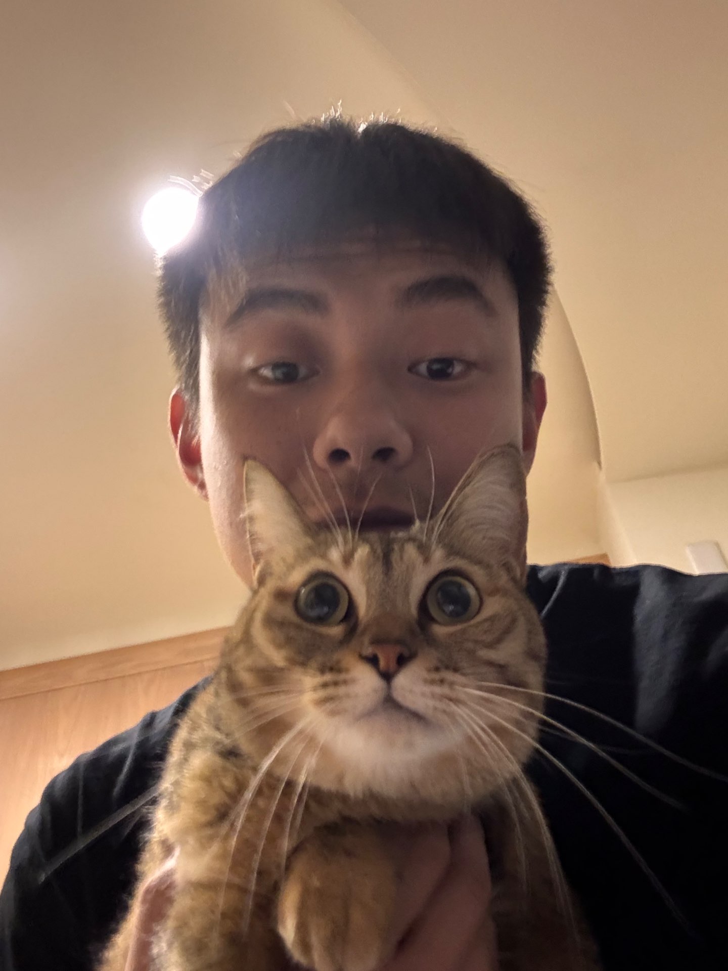 Goodzheさんのプロフィール画像