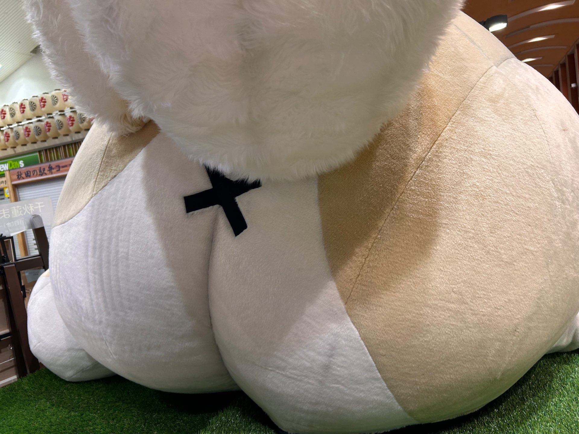 冷やし中華マンさんのプロフィール画像