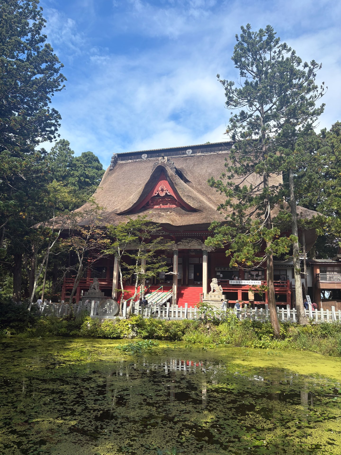 れいらルさんのプロフィール画像