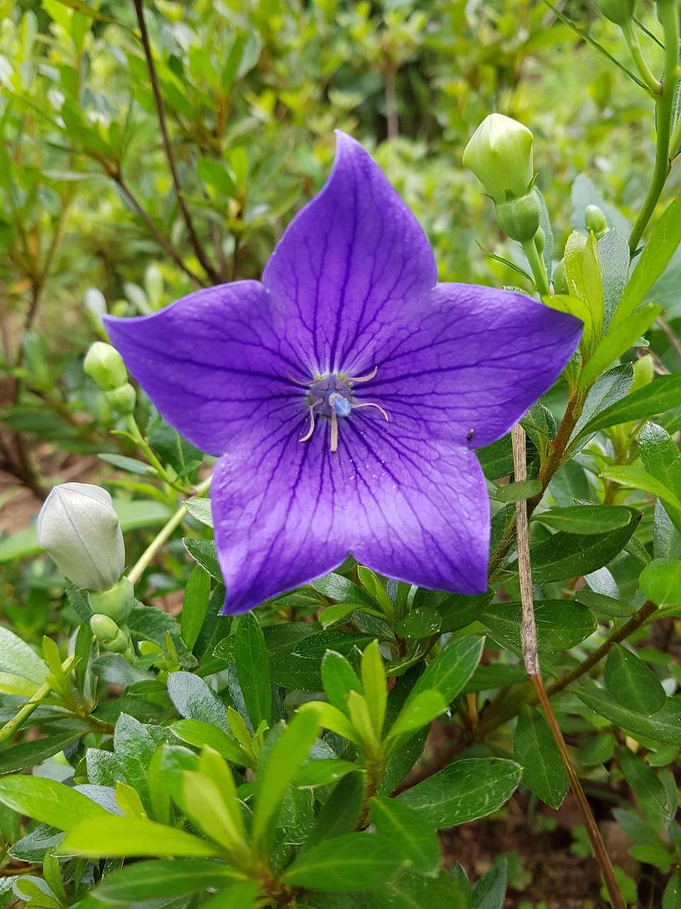 柚葉さんのプロフィール画像