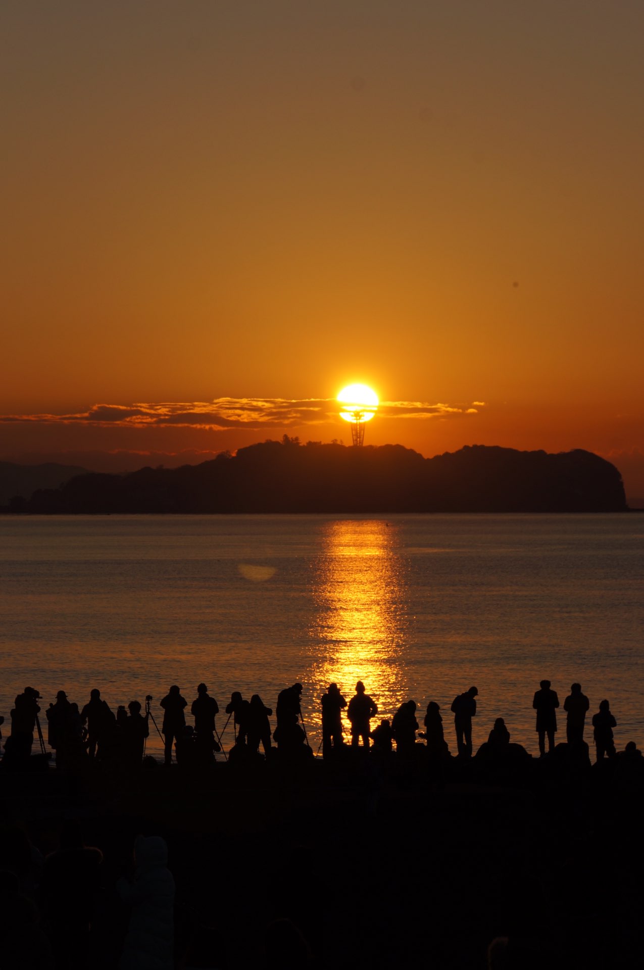 tobiさんのプロフィール画像