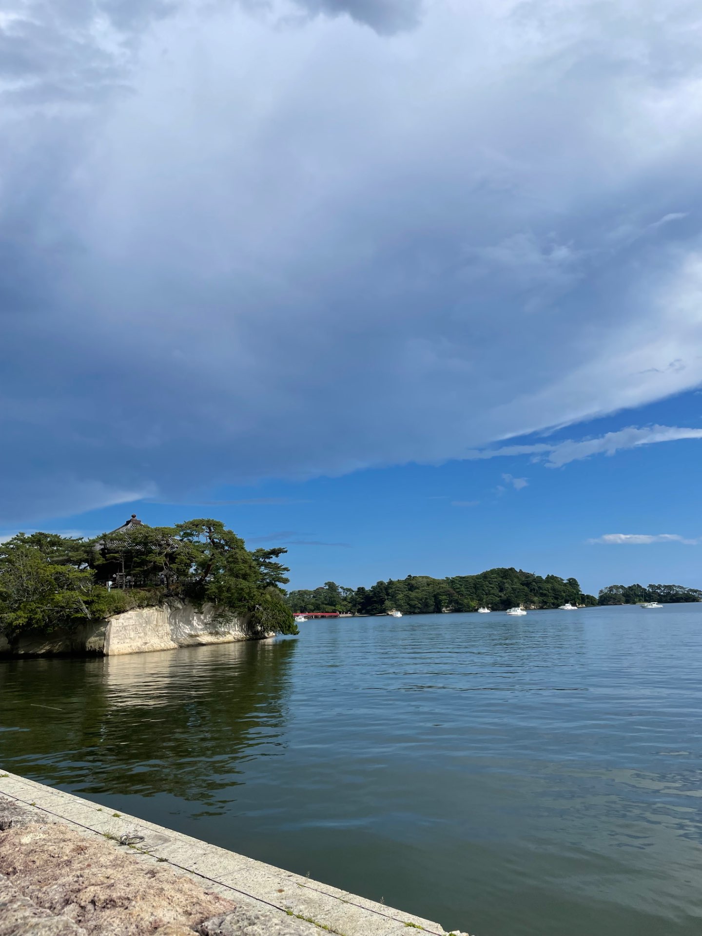 piyoさんのプロフィール画像