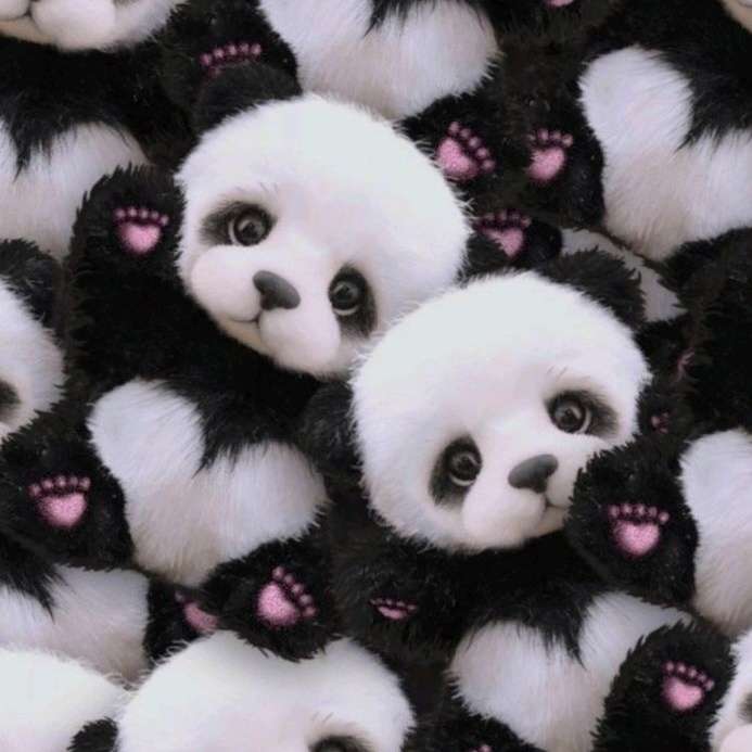 パンダ🐾さんのプロフィール画像